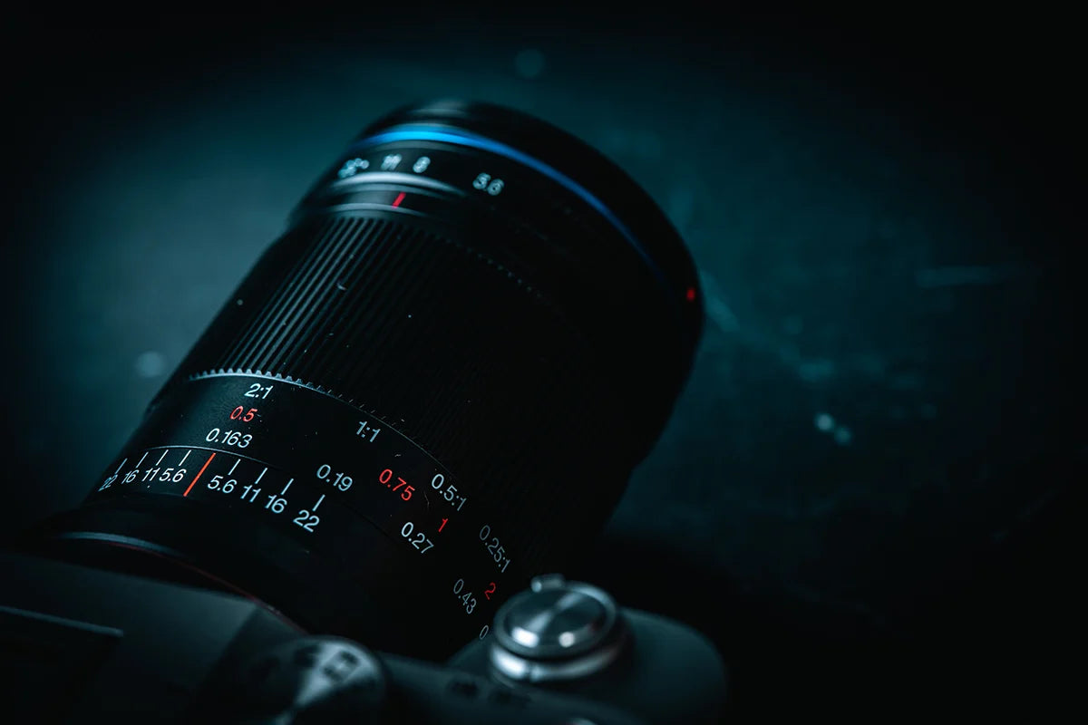 Laowa 85mm f/5.6 - Full-Frame 2:1 Macro Review