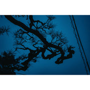 Sigma 17-40mm f/1.8 DC Art Lens