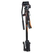 Vanguard VEO 2S AM-264TV Monopod with PH-13 Pan Head