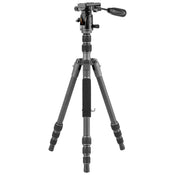Vanguard VEO 3 GO 204CP Carbon Fiber Tripod with PH-25 Pan Head