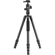 Vanguard VESTA GO 264CB Carbon Fibre Tripod with BH-60 Ball Head
