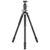 Vanguard VEO 3+ 303CBS Carbon Fiber Tripod with BH-250S Ball Head