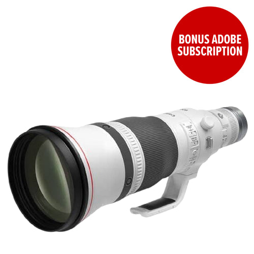 Canon RF 600mm f/4L IS USM Lens