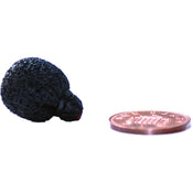 Rycote Neoprene Mini-Lavalier Foam Windscreen (Black)