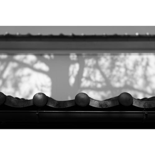 Panasonic Lumix S 24-60mm f/2.8 Lens