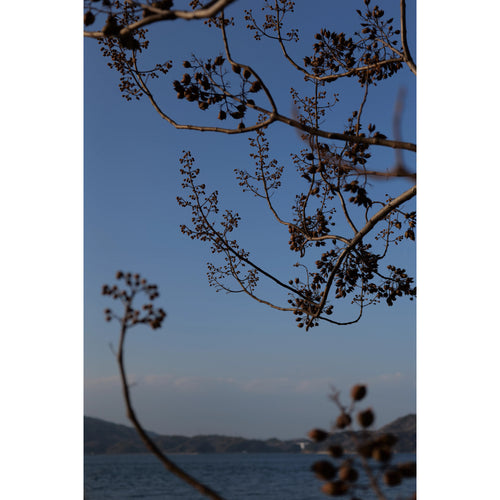 Panasonic Lumix S 24-60mm f/2.8 Lens