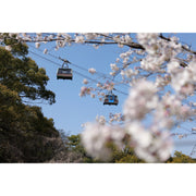 Panasonic Lumix S 24-60mm f/2.8 Lens