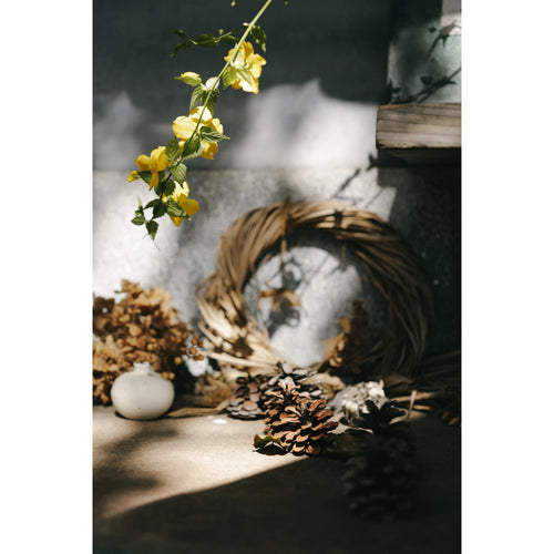 Panasonic Lumix S 24-60mm f/2.8 Lens