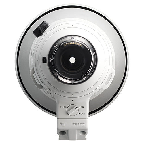 Sigma 300-600mm f/4 DG OS Sports Lens (Sony E)