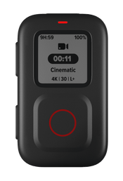 GoPro The Remote