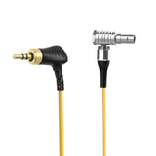 Deity C17 Locking TRS To 9 Pin TC Cable