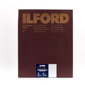 Ilford Multigrade RC Warmtone Pearl 30.5X40.6CM 50 Sheets MGRCWT44M
