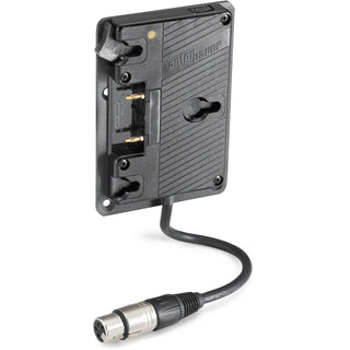 Anton Bauer Plate QRC-VESA Gold Mount attaches to standard VESA mounting pattern with 4p XLR