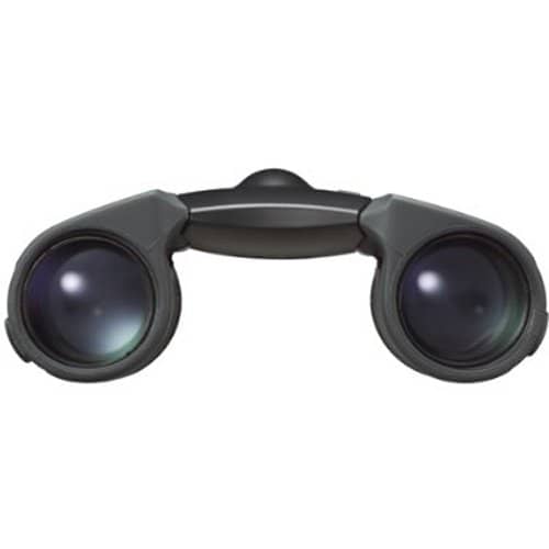 Nikon SportStar Ex Binocular (Charcoal Grey)