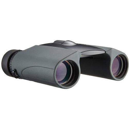 Nikon SportStar Ex Binocular (Charcoal Grey)