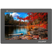 Lilliput FS7 7