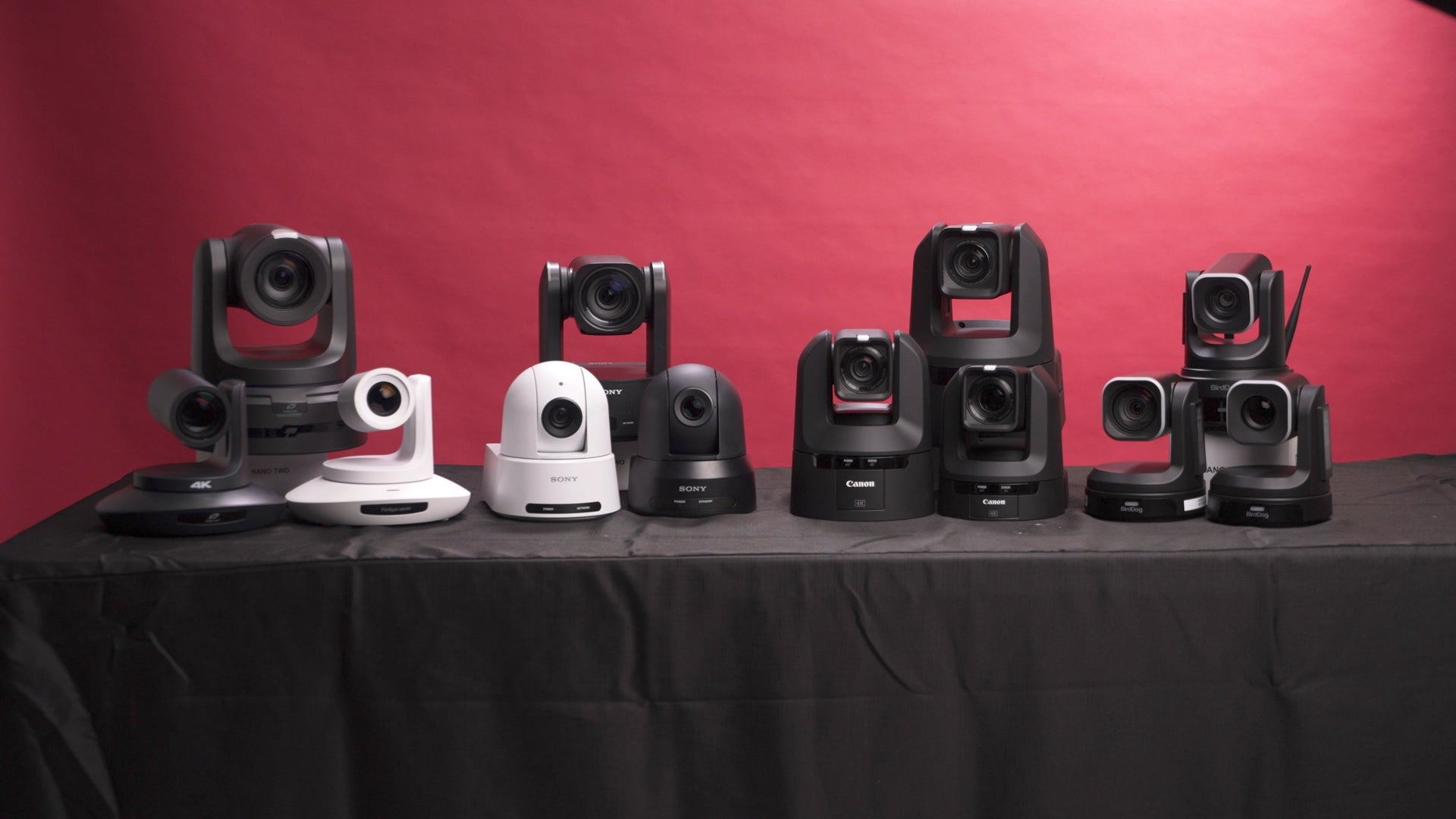 PTZ Cameras