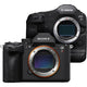 Mirrorless Cameras