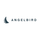 Angelbird Memory Cards - Georges Cameras