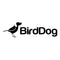 BirdDog