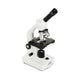 Compound Microscopes