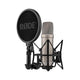 Large Diaphragm Recording Microphones