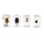 Microscope Slides & Accessories