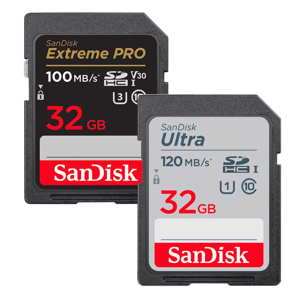 Shop SDHC Memory Cards Online | Georges Cameras