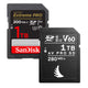 SDXC Memory Cards