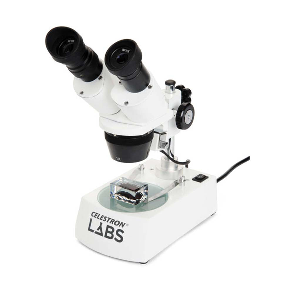 Stereo Microscopes – Georges Cameras