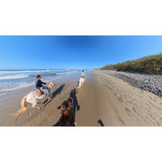 Insta360 X5 360° 8K Camera (Limited Edition, Satin White)