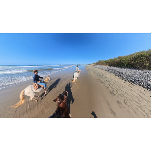 Insta360 X5 360° 8K Camera (Limited Edition, Satin White)