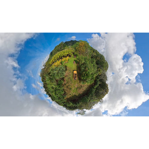 Insta360 X5 360° 8K Camera (Limited Edition, Satin White)