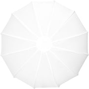 Zhiyun Lantern Softbox 85D (Bowens Mount)