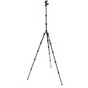 3 Legged Thing Legends Bucky Carbon Fiber Tripod Leg Set