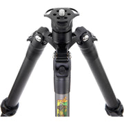 3 Legged Thing Legends Bucky Carbon Fiber Tripod Leg Set