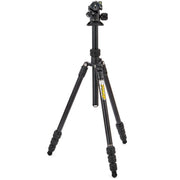 3 Legged Thing Punks Travis 2.0 Magnesium Alloy Tripod with AirHed Neo 2.0 Ball Head