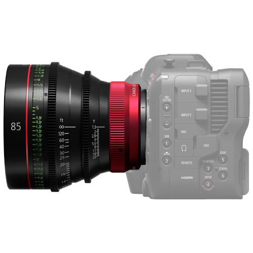 Canon CN-R85mm T1.3 L F Cinema Prime Lens - RF Mount