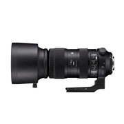 Sigma 60-600mm f/4.5-6.3 DG OS Sports Lens