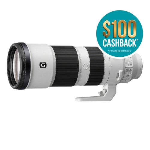 Sony FE 200-600mm f/5.6-6.3 G OSS Lens