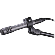 Audio-Technica AE-5100 - Large-Diaphragm Cardioid Instrument Microphone