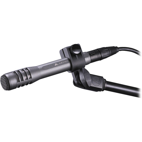 Audio-Technica AE-5100 - Large-Diaphragm Cardioid Instrument Microphone