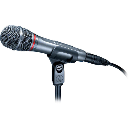 Audio-Technica AE-6100 Hyper-Cardioid Dynamic Handheld Microphone