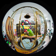 Laowa 4mm f/2.8 Fisheye Lens for Canon RF