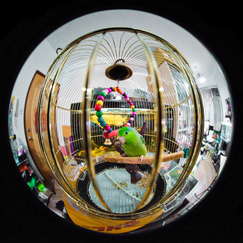 Laowa 4mm f/2.8 Fisheye Lens for Canon RF