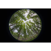 Laowa 8-15mm f/2.8 Fisheye Lens