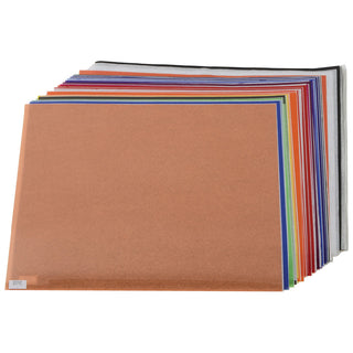 Rosco Rick Friedman Location Lighting Kit (30cm x 30cm)