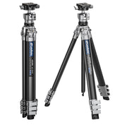 Leofoto AZ-204C Carbon Fibre Travel Tripod + LH-25R Ball Head - Silver/Carbon