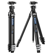 Leofoto AZ-204C Carbon Fibre Travel Tripod + LH-25R Ball Head