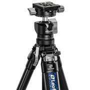 Leofoto AZ-204C Carbon Fibre Travel Tripod + LH-25R Ball Head